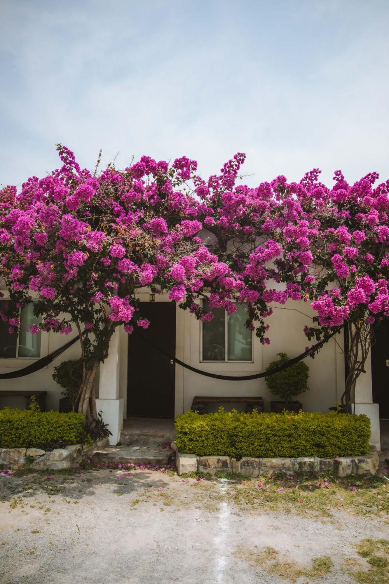 La Posada En El Potrero Chico Hidalgo  ภายนอก รูปภาพ